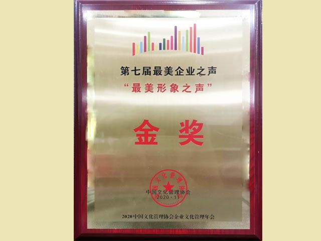 第七届最美企业之声“最美形象之声”金奖